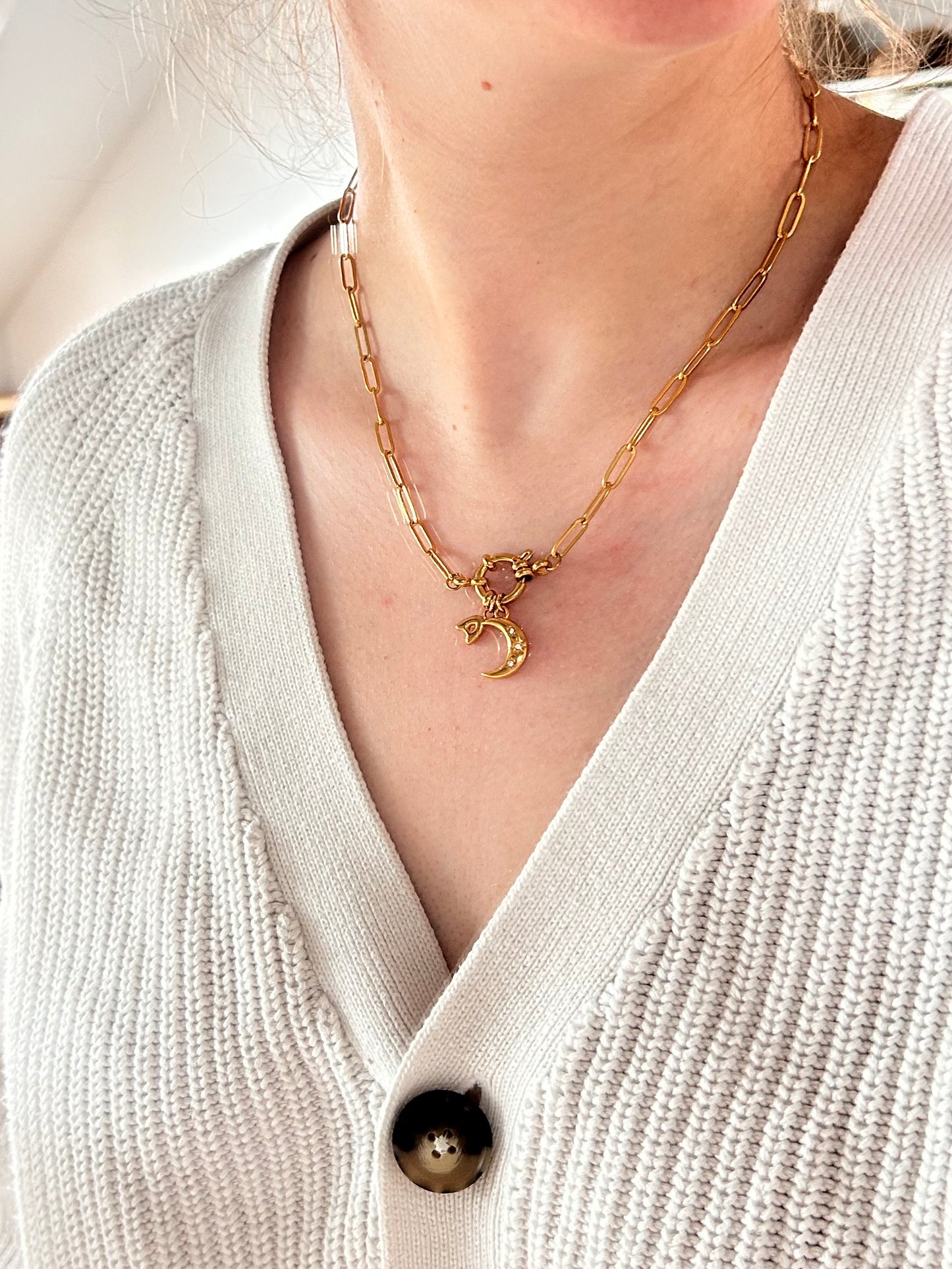Interchangeable Charm Necklace