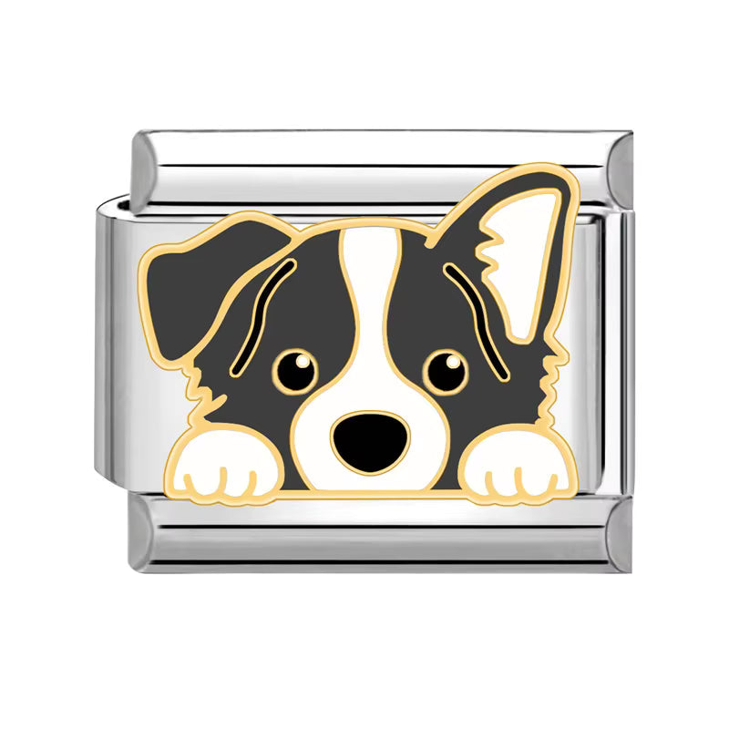 Border Collie Italian Charm