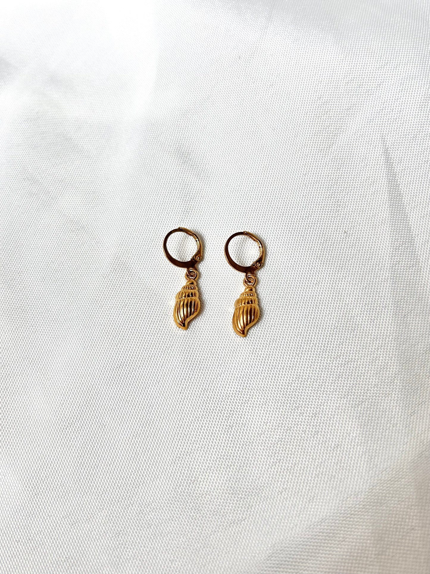 Shell Earrings