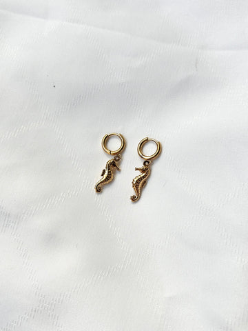 Seahorse Earrings