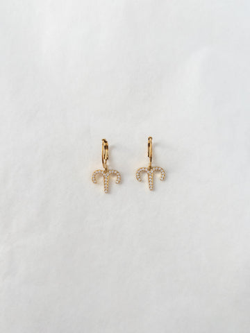 zodiac sign earrings with crystals