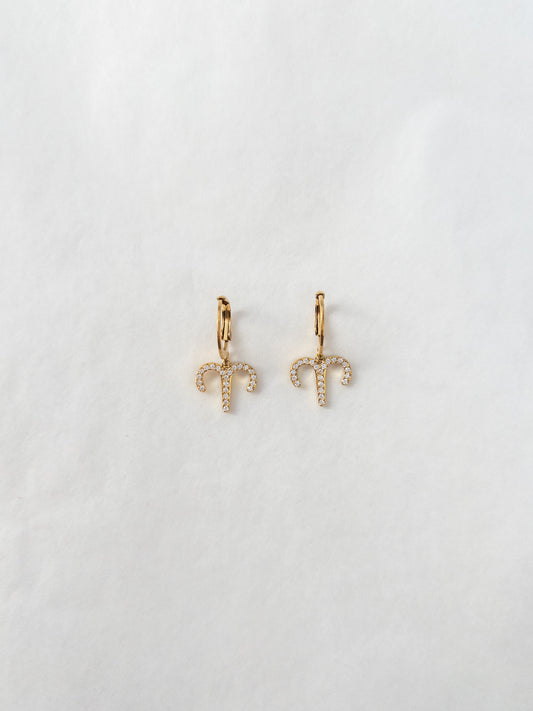 zodiac sign earrings with crystals