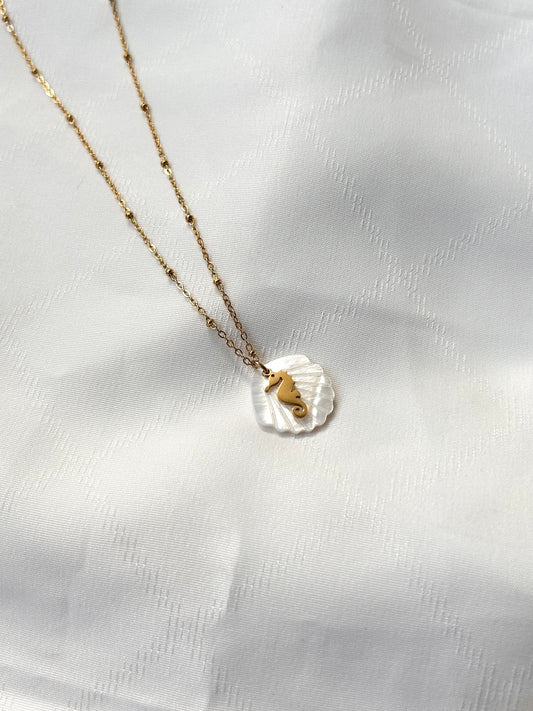 Pearl Shell Necklace