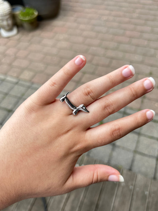 Dog Ring