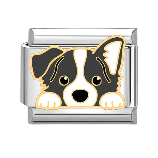 Border Collie Italian Charm