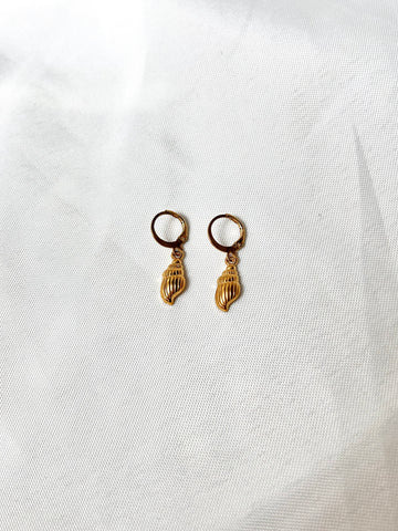 Shell Earrings