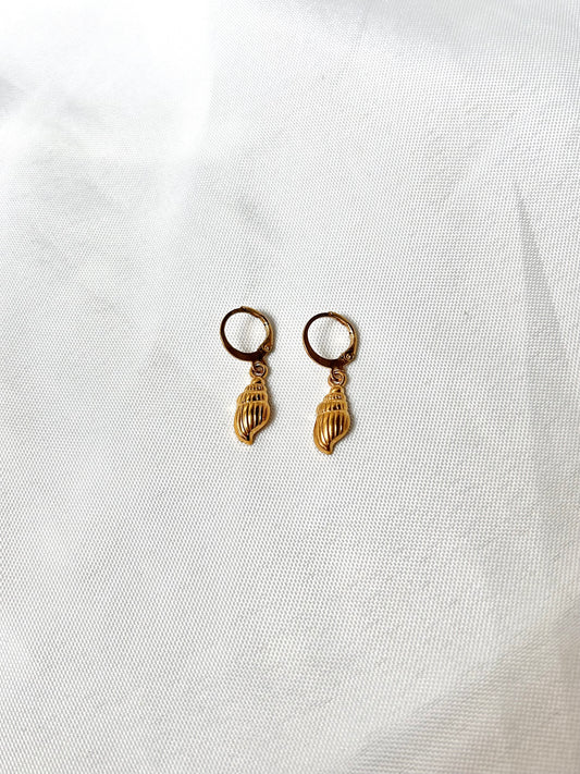 Shell Earrings