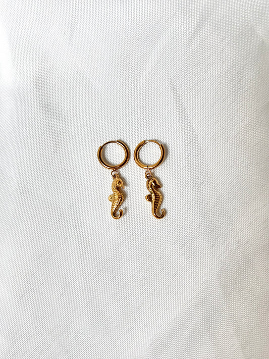 Seahorse Earrings