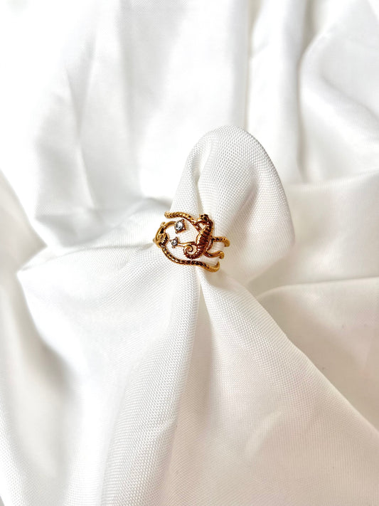 Beach Ring